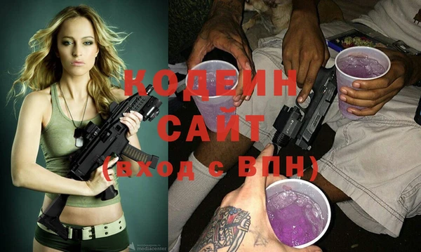 гашик Алексин