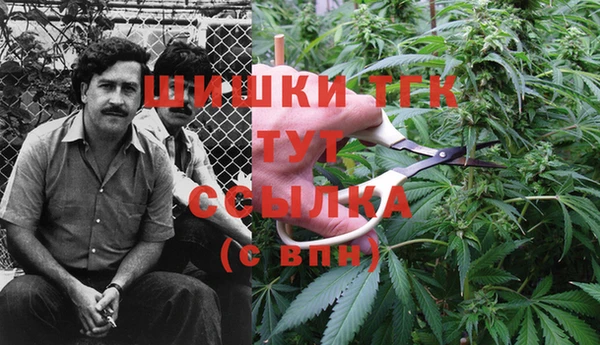 MESCALINE Алзамай