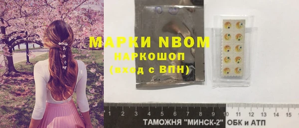 гашик Алексин